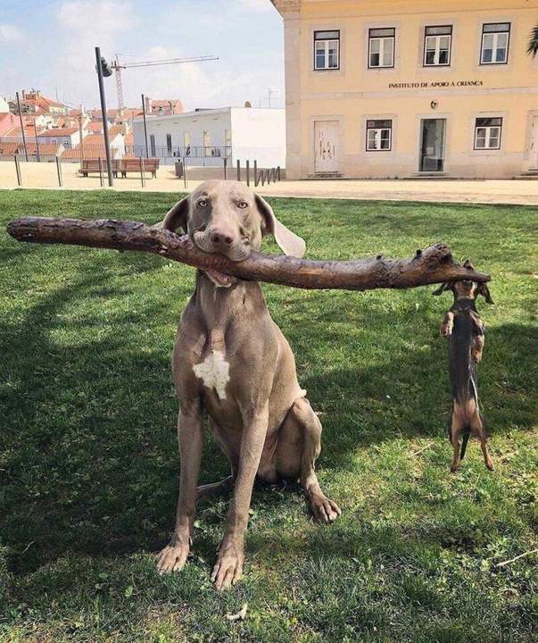 Всё, что нужно знать о командной работе.
