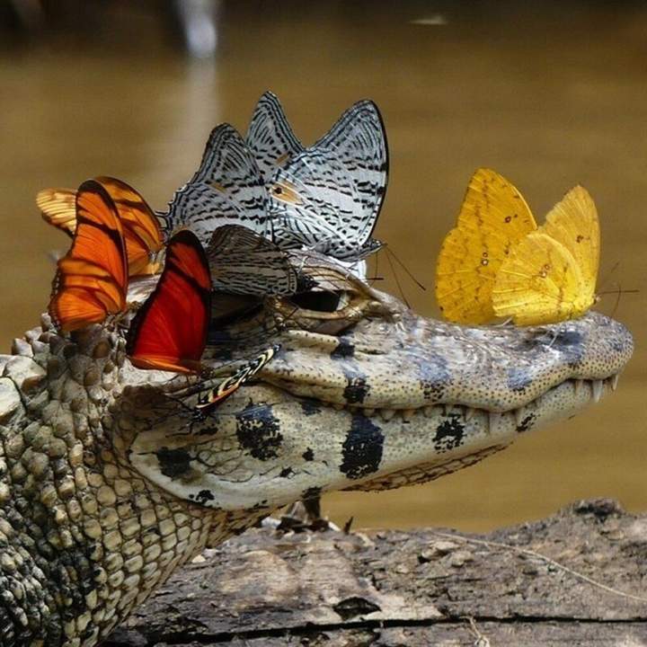"Модница!"