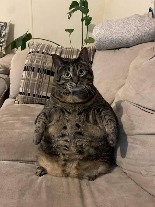 Нас и здесь не плохо кормят