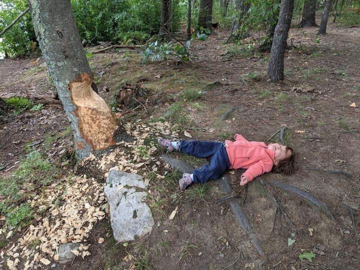"Грызла, умаялась."