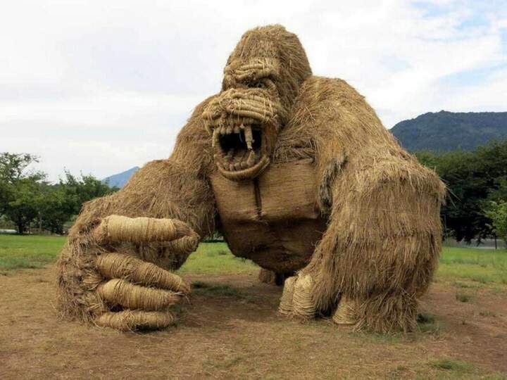 "Кинг-конг жив!!"