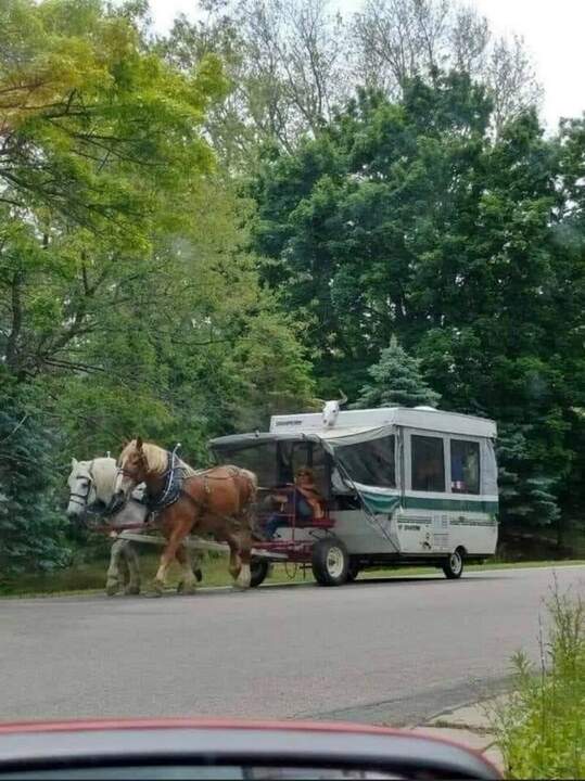 "Бензин? Не, не слышал..."