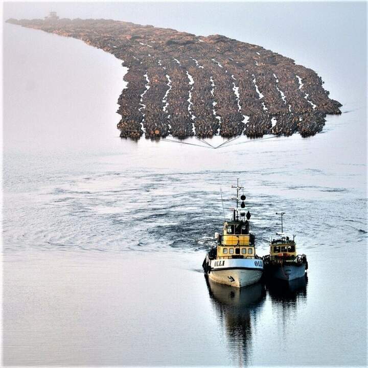 на нерест идут