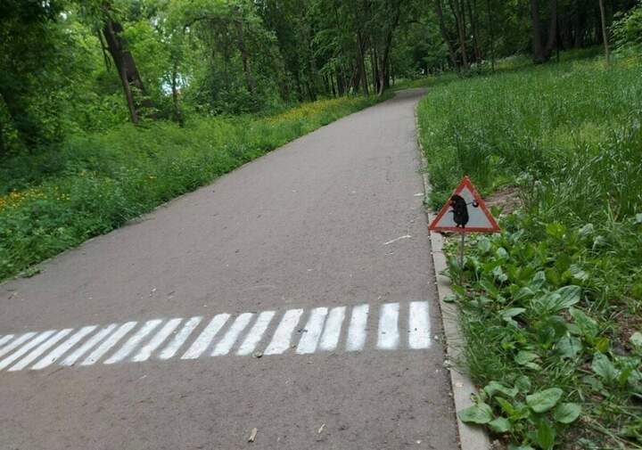 Уступи дорогу ёжику. Он идет к лошадке.