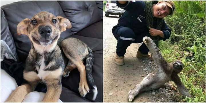 Ты давай боковую планку делай, а не халтурь
