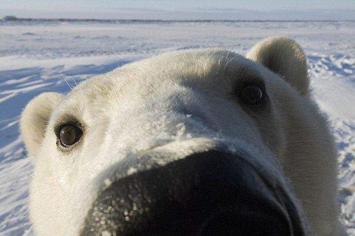 А я-то думаю, кто это тут щёлк да щёлк, а это завтрак, оказывается!
