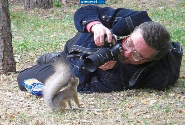 где гонорар то?))