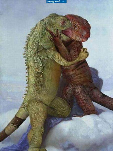 танцуют все