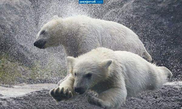 Уходим, там дымом пахнет......