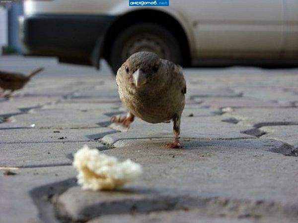 Класс кадр