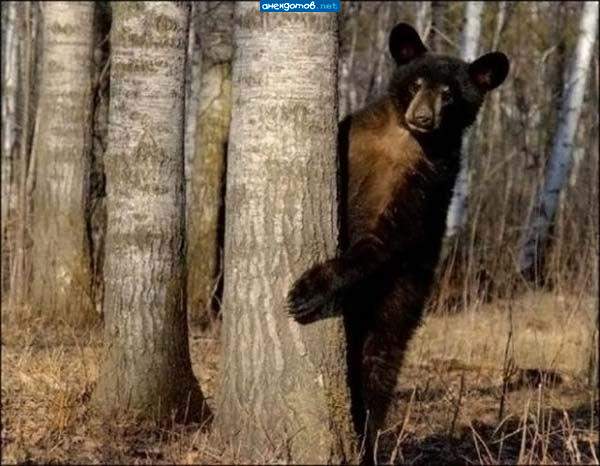 ау" кричали? я пришел...
