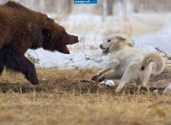 "Мишань, ну чего ты... , я ж только спросил..."