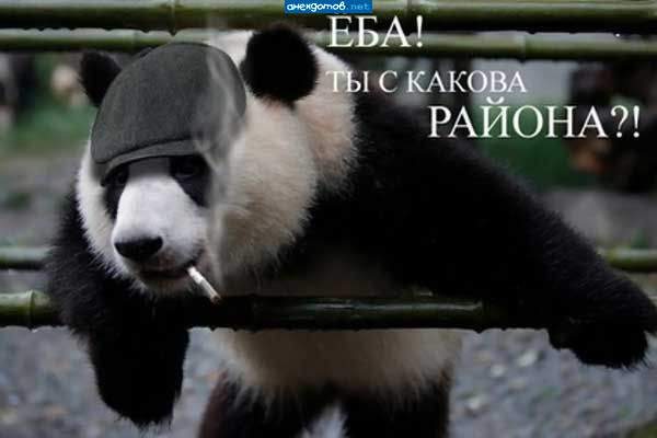 коммент на фото - лепил мудаГ