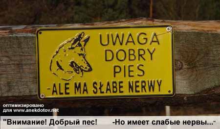 Мдя ... заставляет задуматься, прежде чем войти