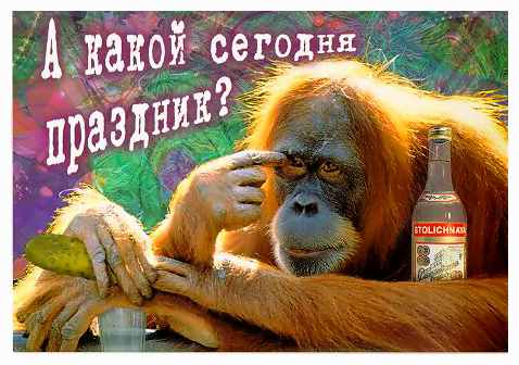 А закуска у нас была разная-огурцы большие и огурцы маленькие.