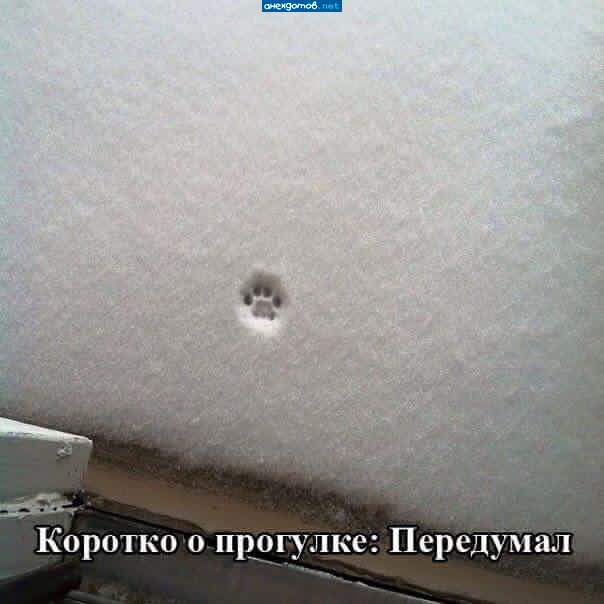 я из дому вышел и сразу зашел
