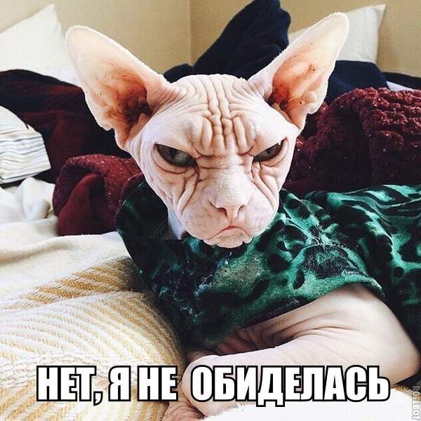 Но нахмурилась.