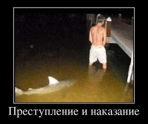 Прикормленное место видать