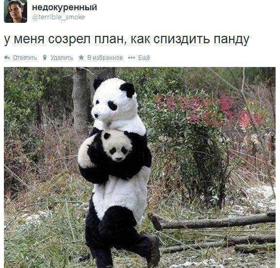 Панданеппинг