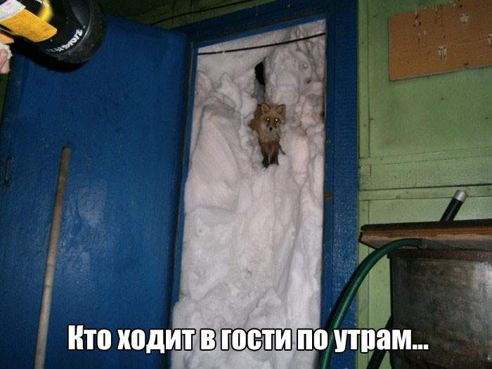 Ели откопала или еле откопала?