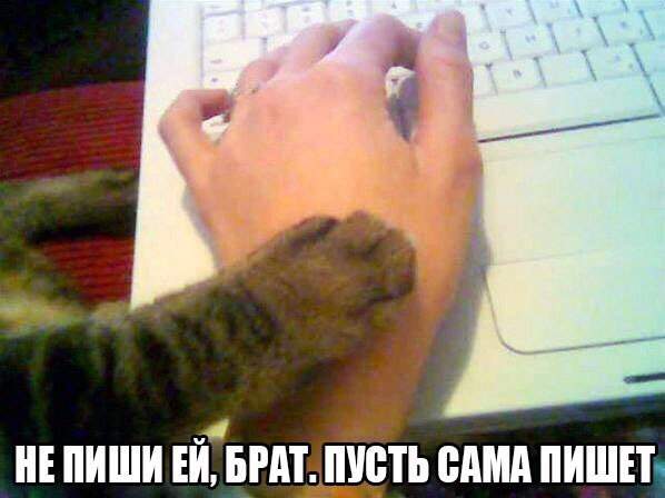 Сестра, пусть он сам пишет