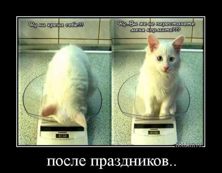 и добавить нечего....
