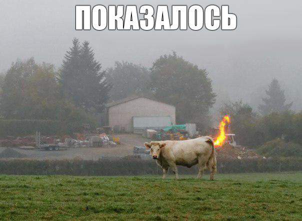 Не показалось - метан самовоспламеняется.