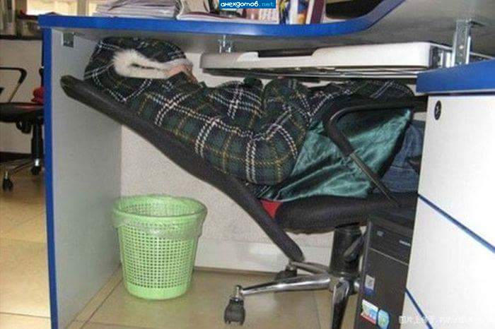 Бомж офисный,1-н экз.