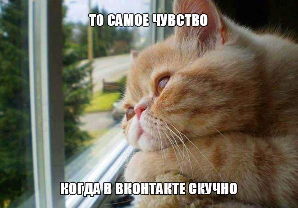 осень..осень скучно