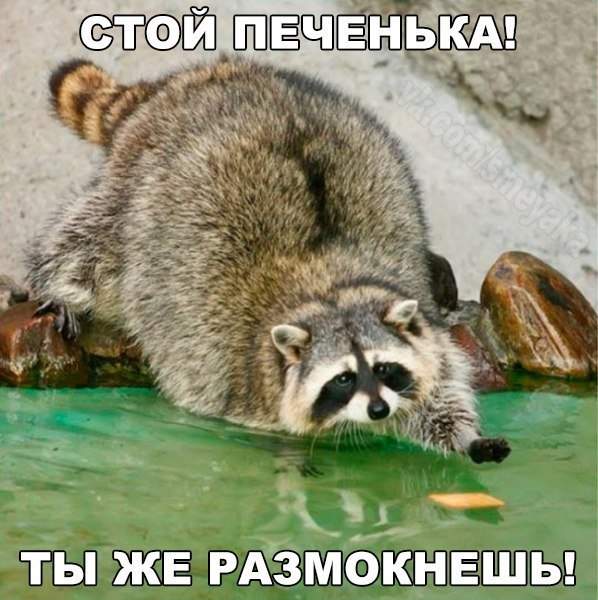 Судя по нему -штук 10000 уже достал