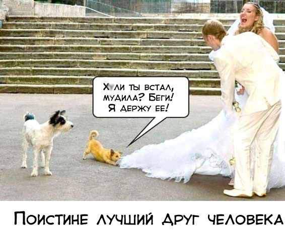 Гости со стороны жениха