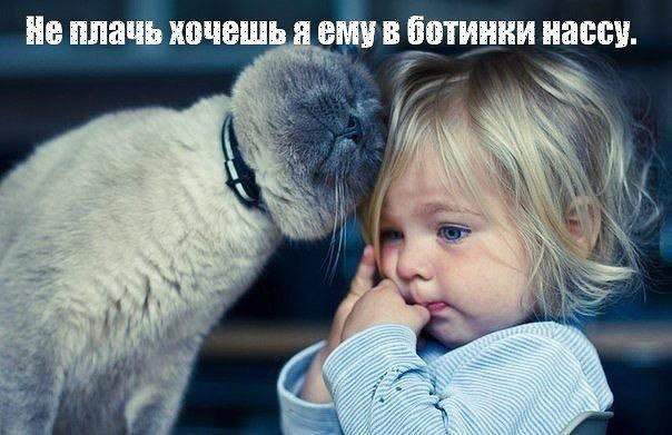 Чудо ты мое лохматое