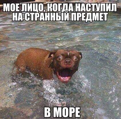 ему повезло, что он не видел лица этого странного предмета —————
<br>