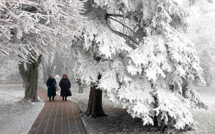 А помнишь, Оленька, мы здесь с парнями гуляли?..