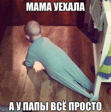 Папа, хватит! Я уже понял, что такое радиус окружности.