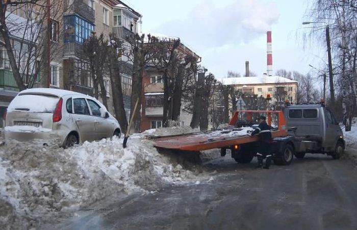 Петрович, шугани иди её сзади — сама не залезет.