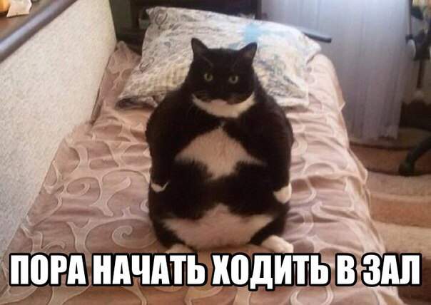 Весельчак У прибыл из будущего