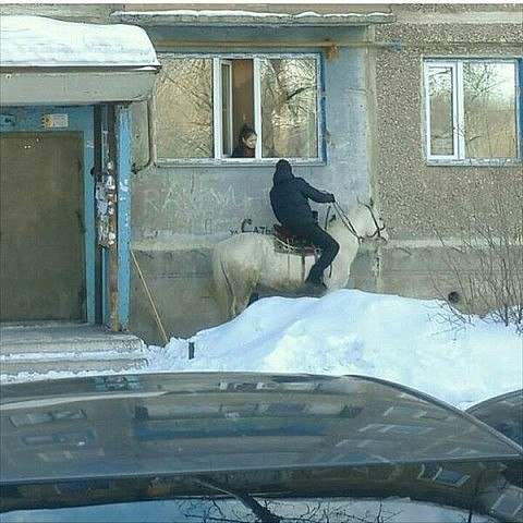 Дождалась!