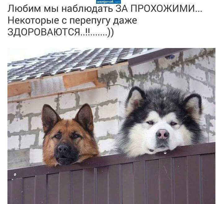 Может всё же зайдёте?