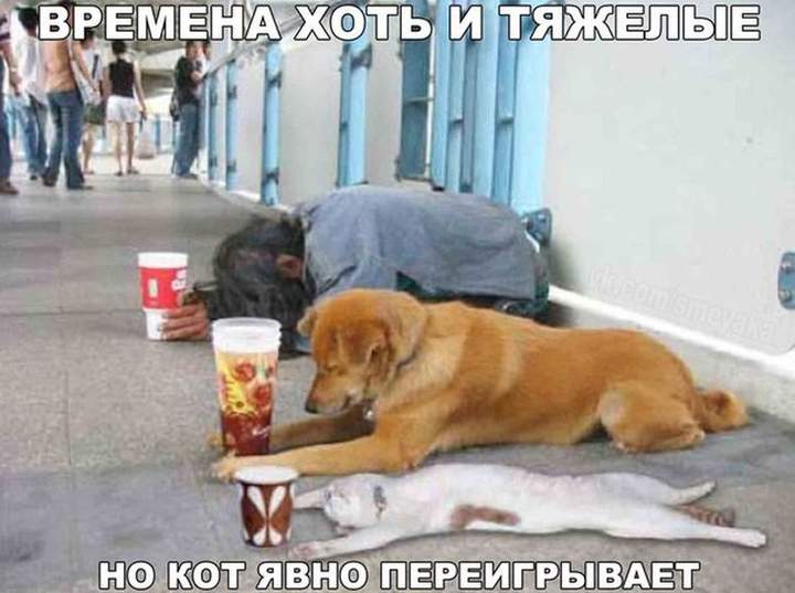 Кризис и до Простоквашино дошёл