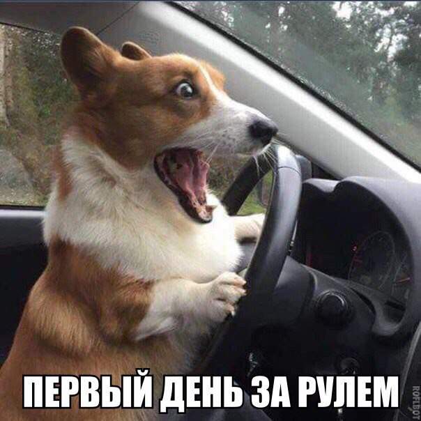 Модераторы!!!! Одна картинка два дня подряд!!!Тут не только челюсть отвиснет