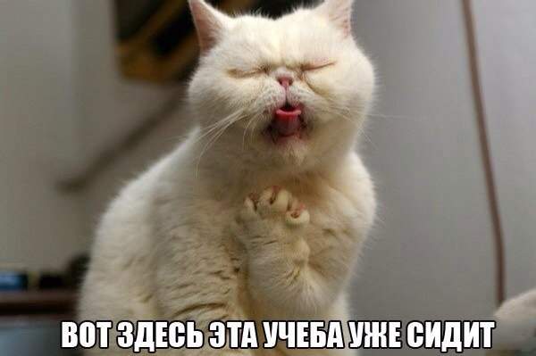 Какая гадость, эта ваша заливная рыба...