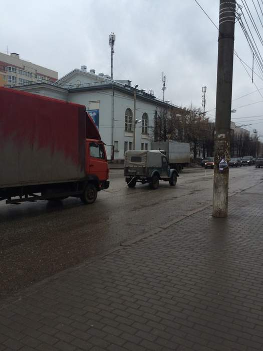 выгуливает