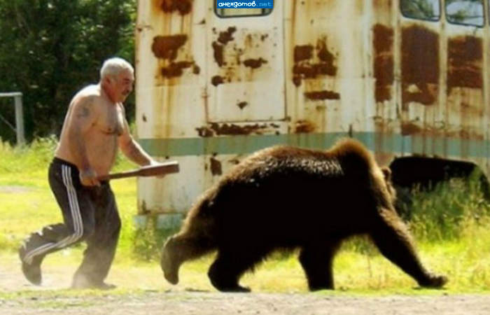 Это моя помойка, мохнатое чмо!