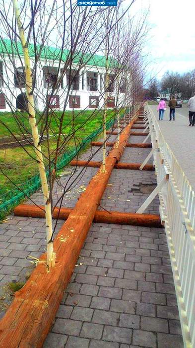 моральные уроды, тот кто это сделал