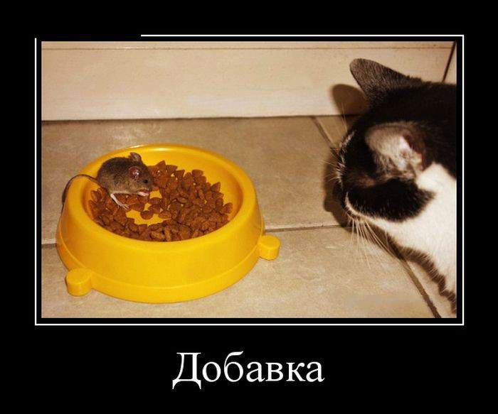 Фаршируется.