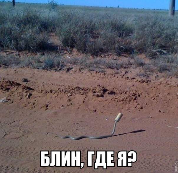 Погрязла в банковской системе.
