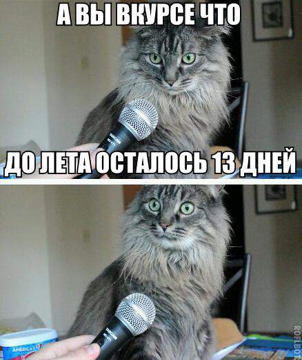 А где Яна?