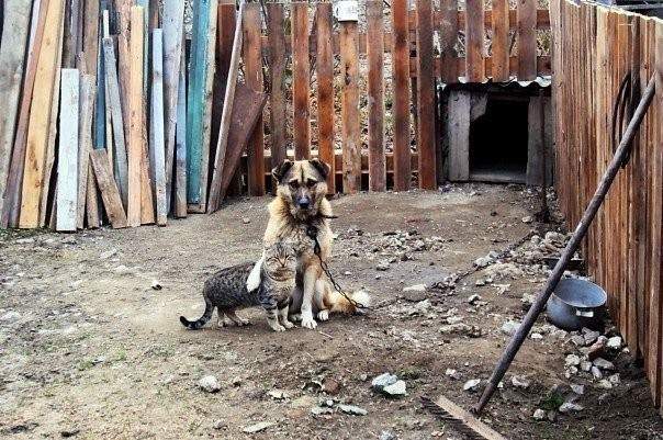 Эх,Васька,родину не выбирают