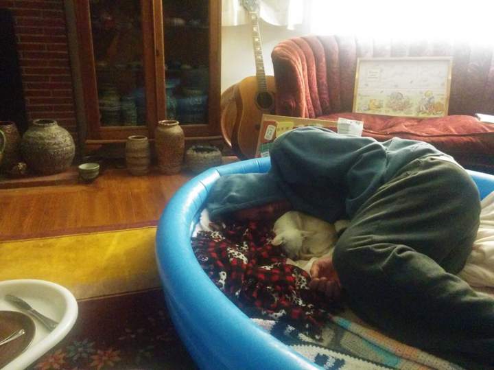 Этот приплыл